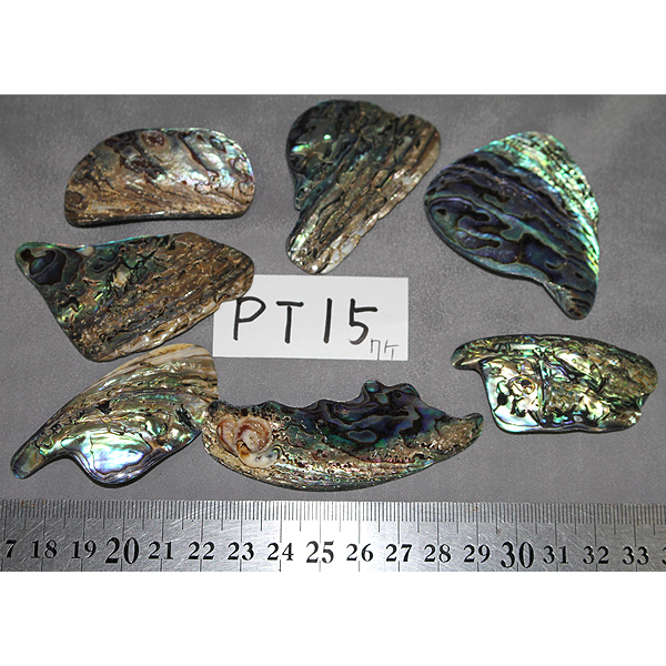 ニュージーランド(ＮＺ)　パウア貝(Paua Shell) 天然石ビーズ 販売