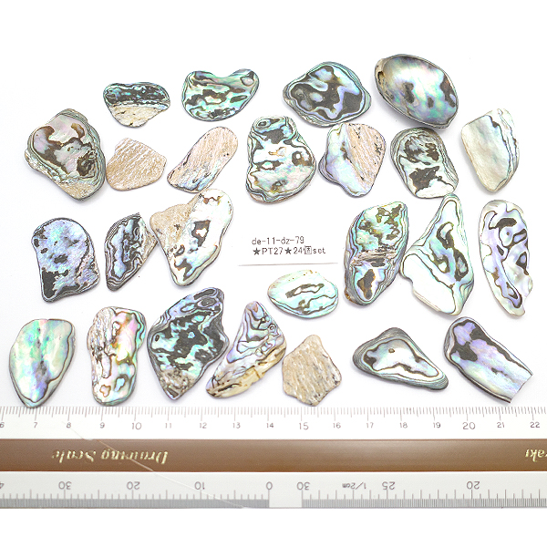 j[W[h(my)@pEAL(Paua Shell) VR΃r[Y ̔