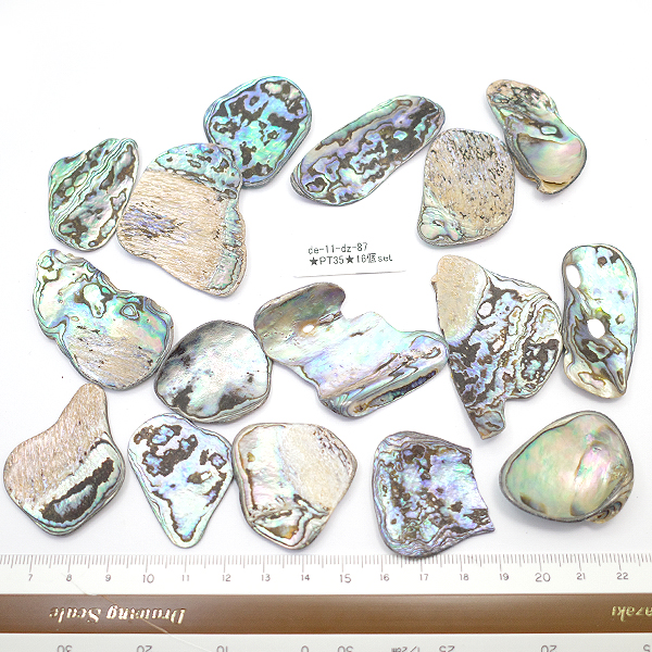 j[W[h(my)@pEAL(Paua Shell) VR΃r[Y ̔