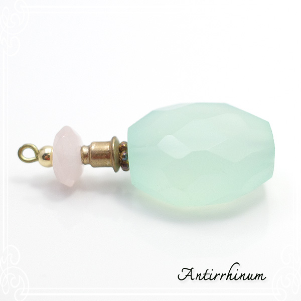  Antirrhinum [ AeBi ] 