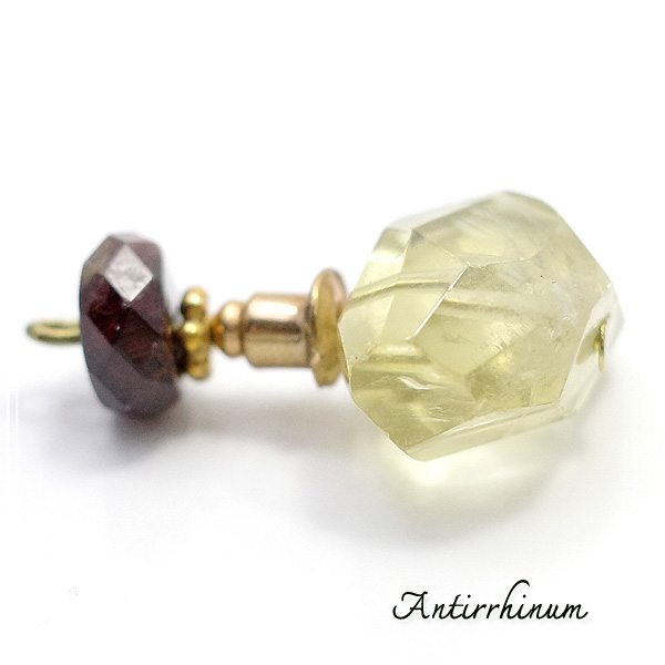  Antirrhinum [ AeBi ] 