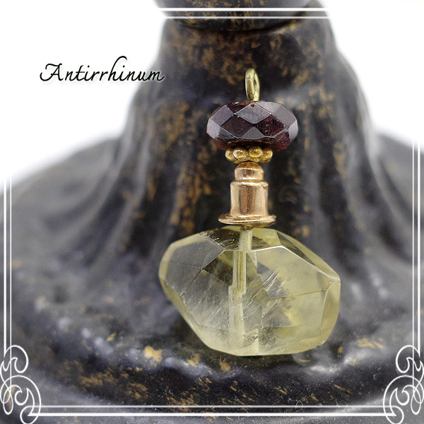  Antirrhinum [ AeBi ] 