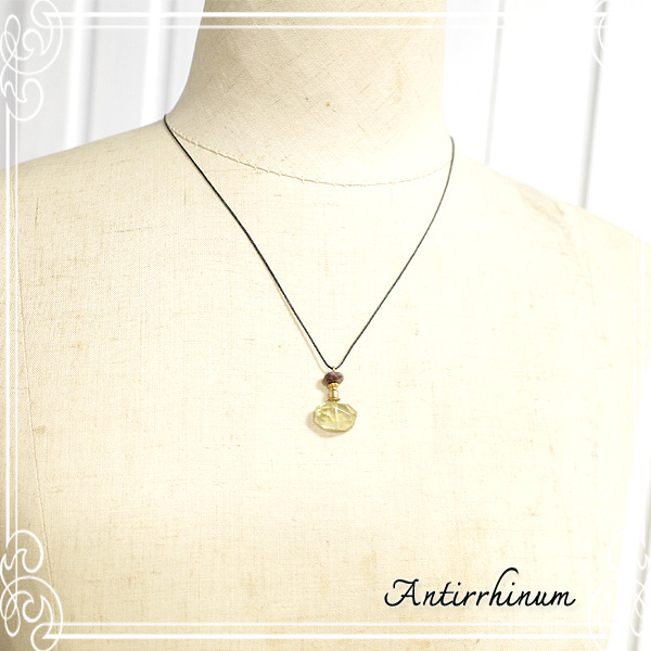  Antirrhinum [ AeBi ] 