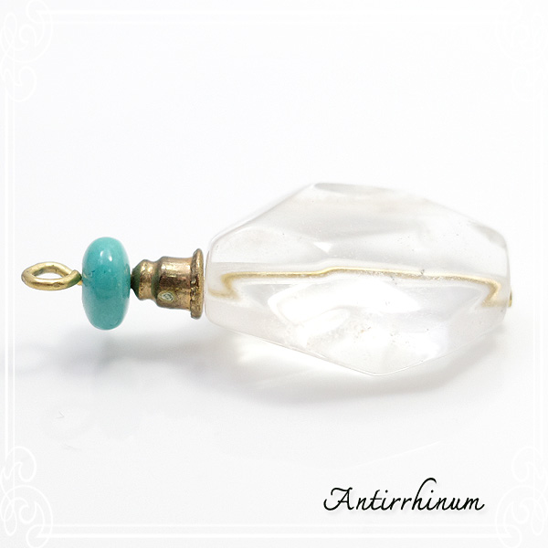  Antirrhinum [ AeBi ] 