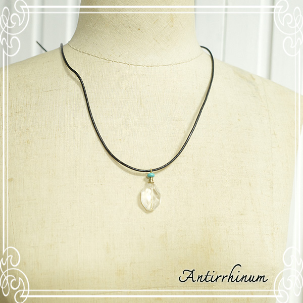  Antirrhinum [ AeBi ] 