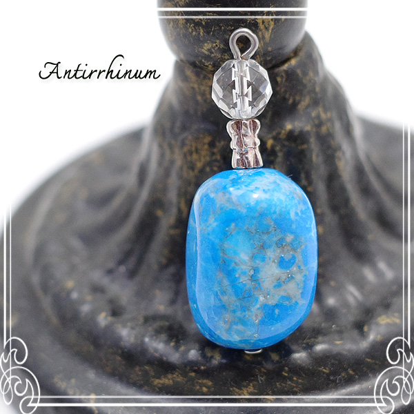  Antirrhinum [ AeBi ] 