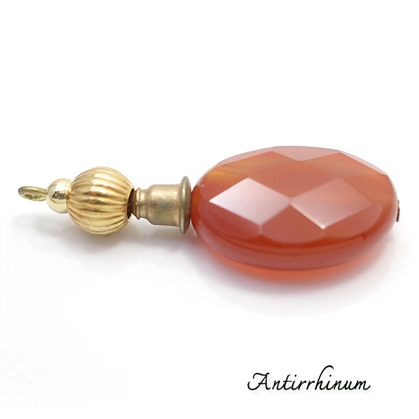  Antirrhinum [ AeBi ] 