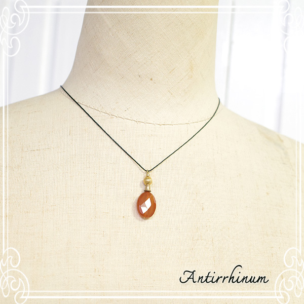  Antirrhinum [ AeBi ] 