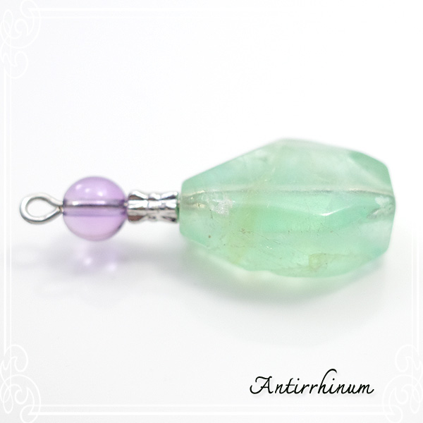  Antirrhinum [ AeBi ] 