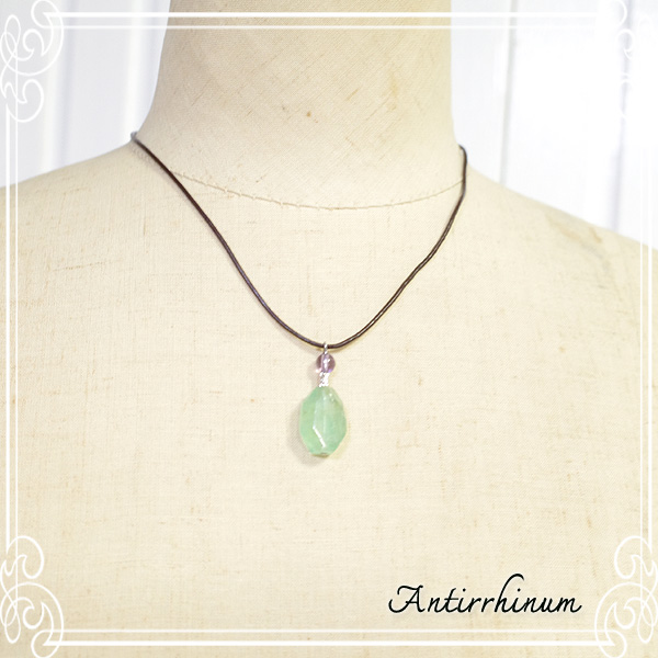  Antirrhinum [ AeBi ] 