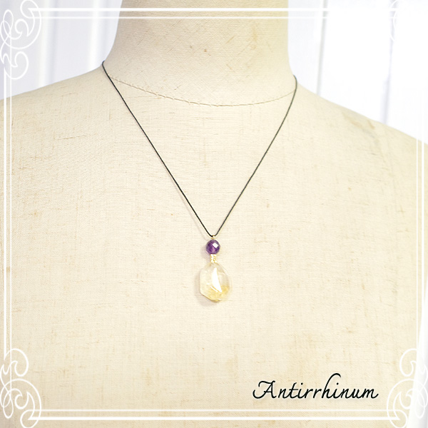  Antirrhinum [ AeBi ] 