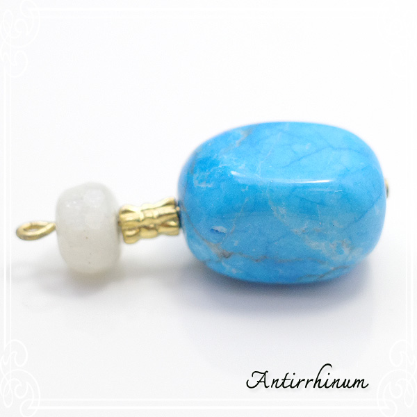  Antirrhinum [ AeBi ] 