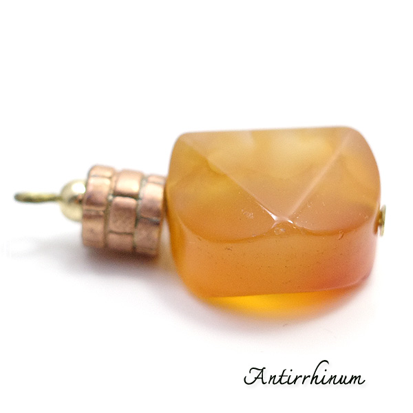  Antirrhinum [ AeBi ] 