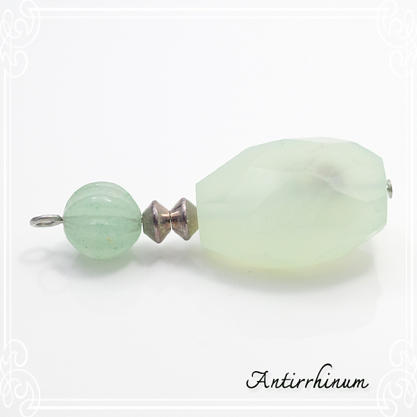  Antirrhinum [ AeBi ] 