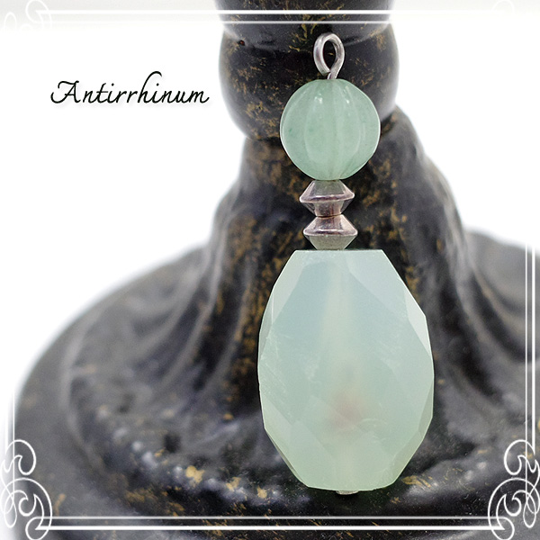  Antirrhinum [ AeBi ] 