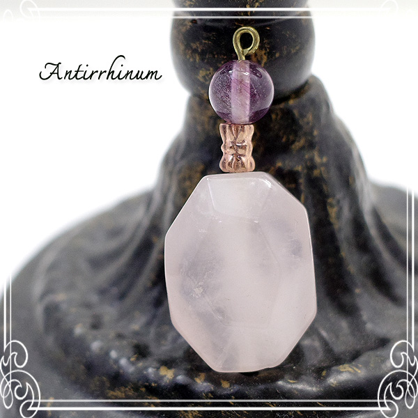  Antirrhinum [ AeBi ] 