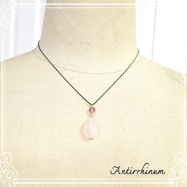  Antirrhinum [ AeBi ] 