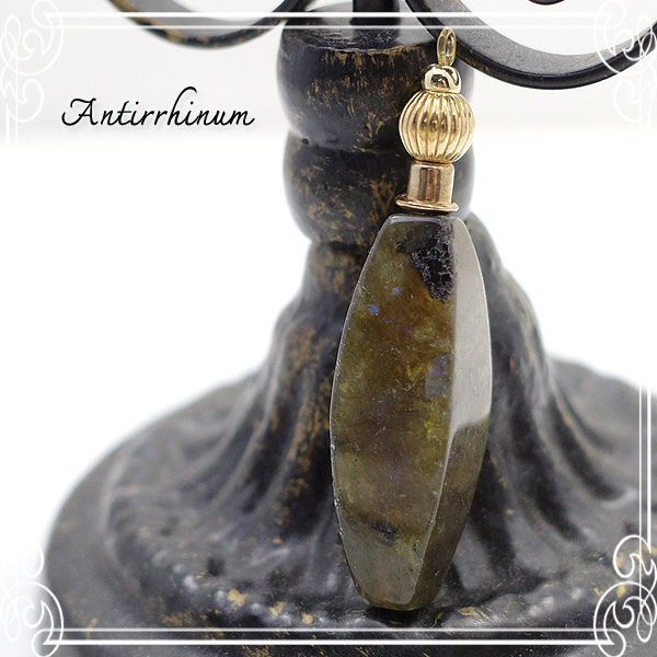  Antirrhinum [ AeBi ] 