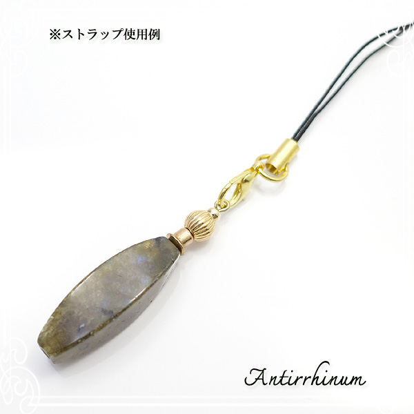  Antirrhinum [ AeBi ] 