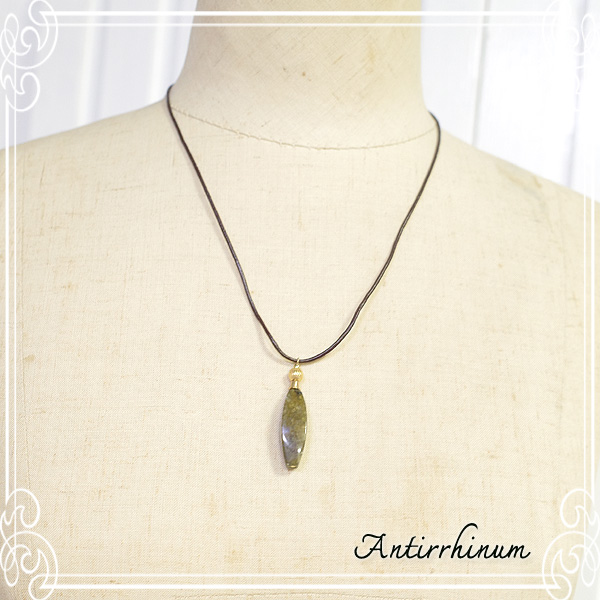  Antirrhinum [ AeBi ] 