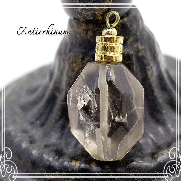  Antirrhinum [ AeBi ] 