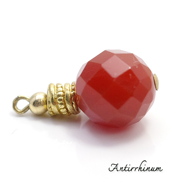  Antirrhinum [ AeBi ] 