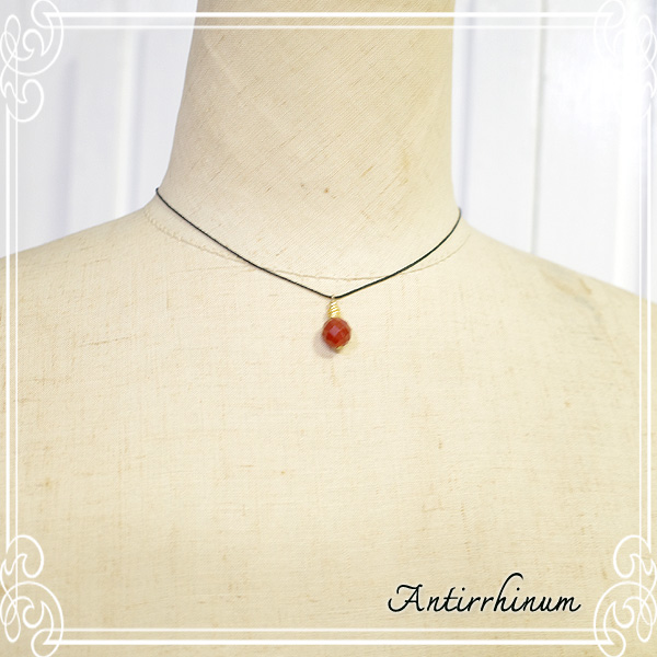  Antirrhinum [ AeBi ] 