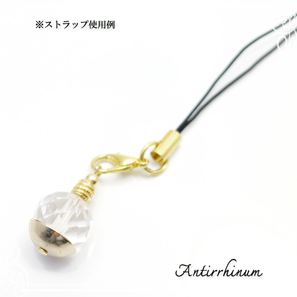  Antirrhinum [ AeBi ] 