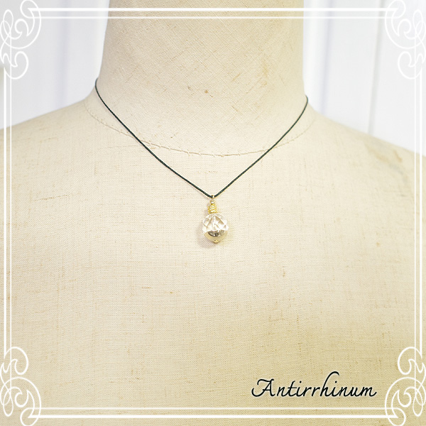  Antirrhinum [ AeBi ] 