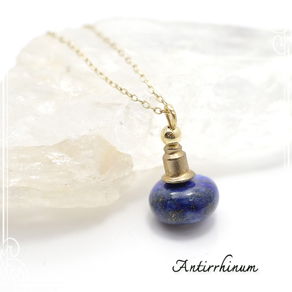  Antirrhinum [ AeBi ] 