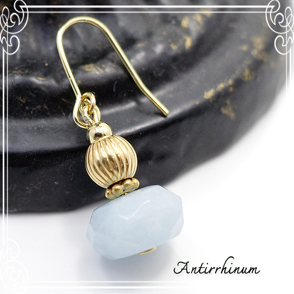  Antirrhinum [ AeBi ] 