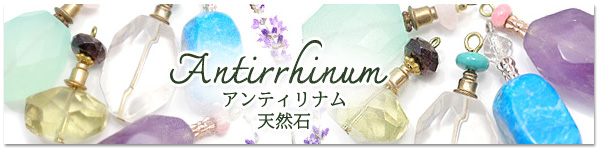  Antirrhinum [ AeBi ] 