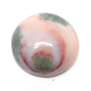 I[VWXp[(Ocean jasper) VR1_̃[X̔