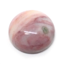 I[VWXp[(Ocean jasper) VR1_̃[X̔