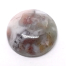 I[VWXp[(Ocean jasper) VR1_̃[X̔