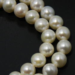   淡水パール(Fresh water pearl)