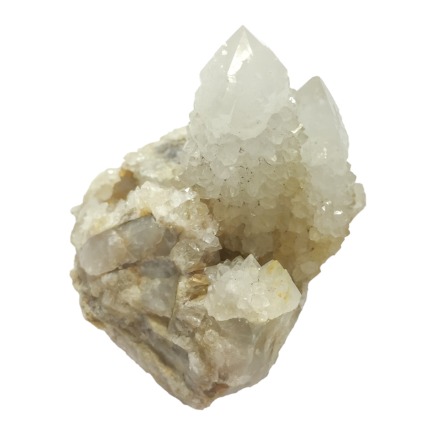 JN^XNH[c(Cactus quartz)