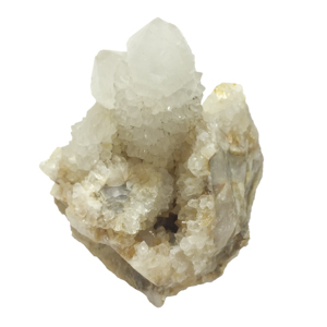 JN^XNH[c(Cactus quartz)