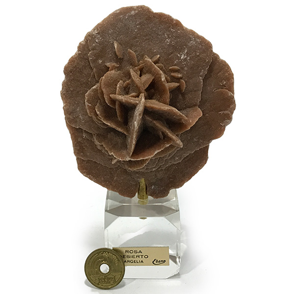 gs-sp-4548 デザートローズ(Desert Rose) 天然石標本販売 鉱物標本 販売/パーツ工房