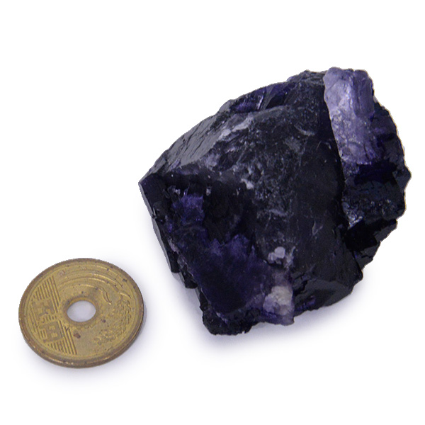 p[vt[Cg(Purple Fluorite) 