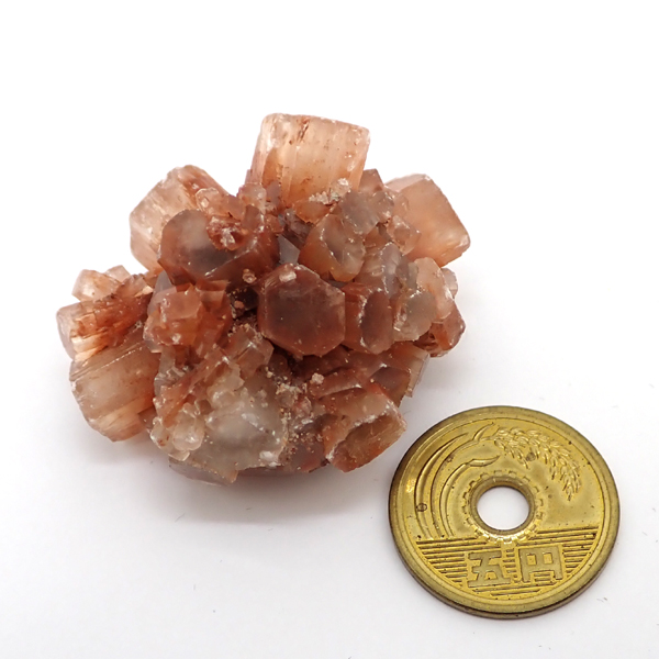 ASiCg(Aragonite) 