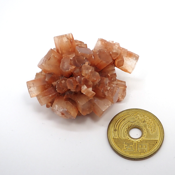 ASiCg(Aragonite) 