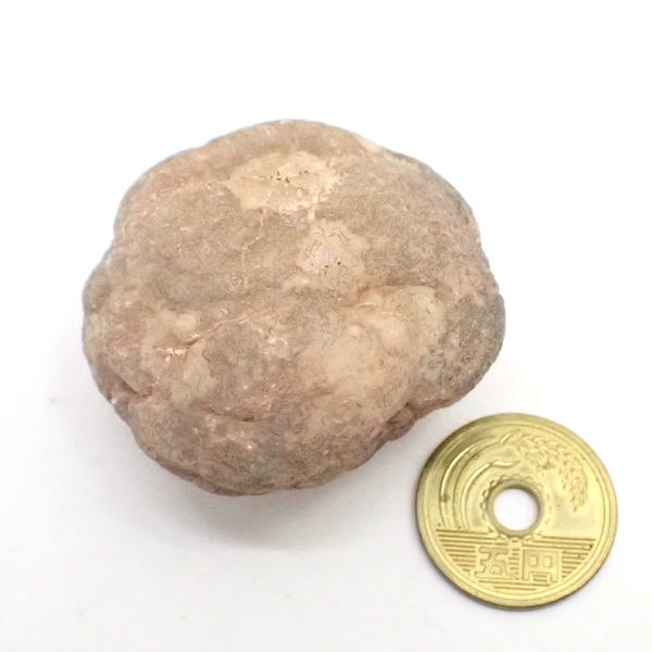 WI[h(Geode) 