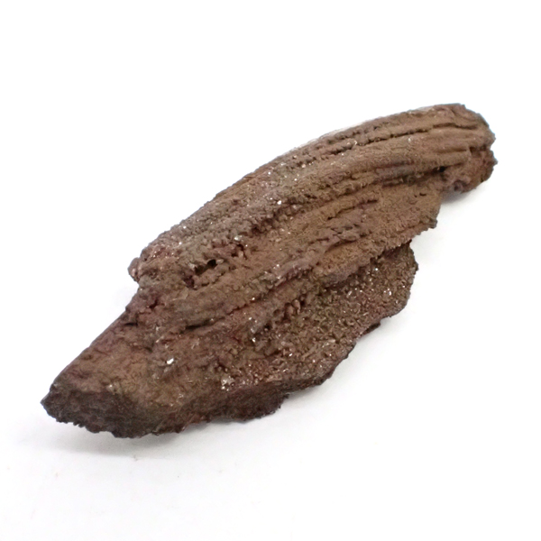 ペトリファイドウッド(Petrifiedwood)(珪化木) 原石