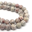 �V�R��1�_���̔̔�