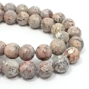 �V�R��1�_���̔̔�