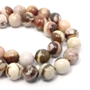 �V�R��1�_���̔̔�