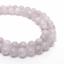 �V�R��1�_���̔̔�