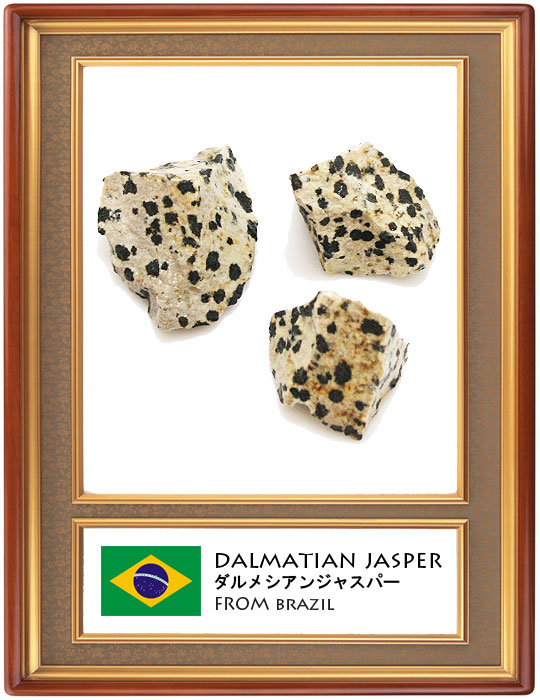 _VAWXp[(Dalmatian Jasper)